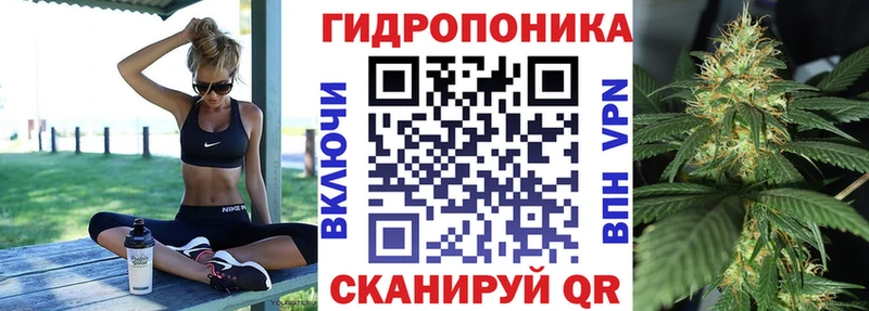 Купить наркотики Малоярославец Alpha PVP  Меф  Псилоцибиновые грибы  Бошки Шишки  ГАШ 