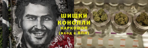 ПСИЛОЦИБИНОВЫЕ ГРИБЫ Богданович