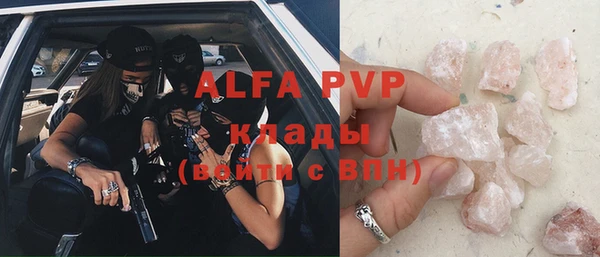 ПСИЛОЦИБИНОВЫЕ ГРИБЫ Богданович