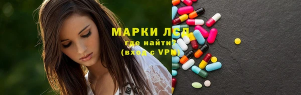 ПСИЛОЦИБИНОВЫЕ ГРИБЫ Богданович