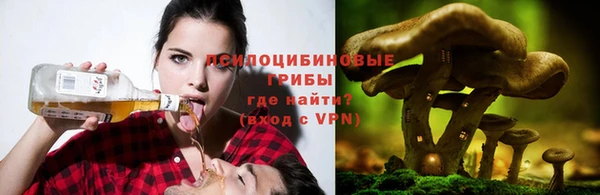 ПСИЛОЦИБИНОВЫЕ ГРИБЫ Богданович