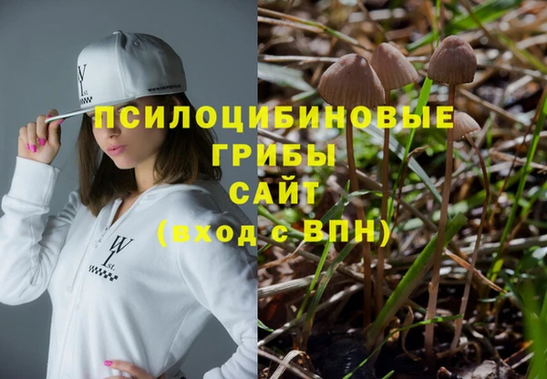 хмурый Богородск