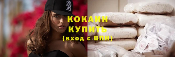 ПСИЛОЦИБИНОВЫЕ ГРИБЫ Богданович