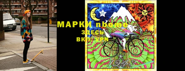 ПСИЛОЦИБИНОВЫЕ ГРИБЫ Богданович