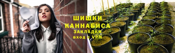 ПСИЛОЦИБИНОВЫЕ ГРИБЫ Богданович