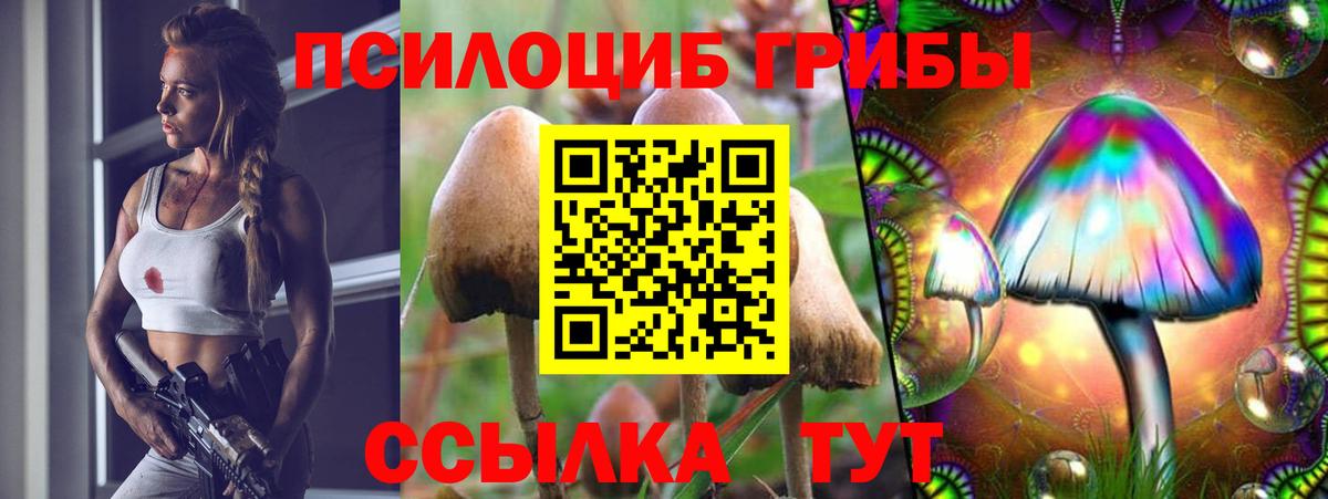 Псилоцибиновые грибы Psilocybine cubensis  Вход с VPN  Малоярославец  Галлюциногенные грибы Cubensis 