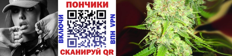 Каннабис SATIVA & INDICA как найти наркотики Малоярославец